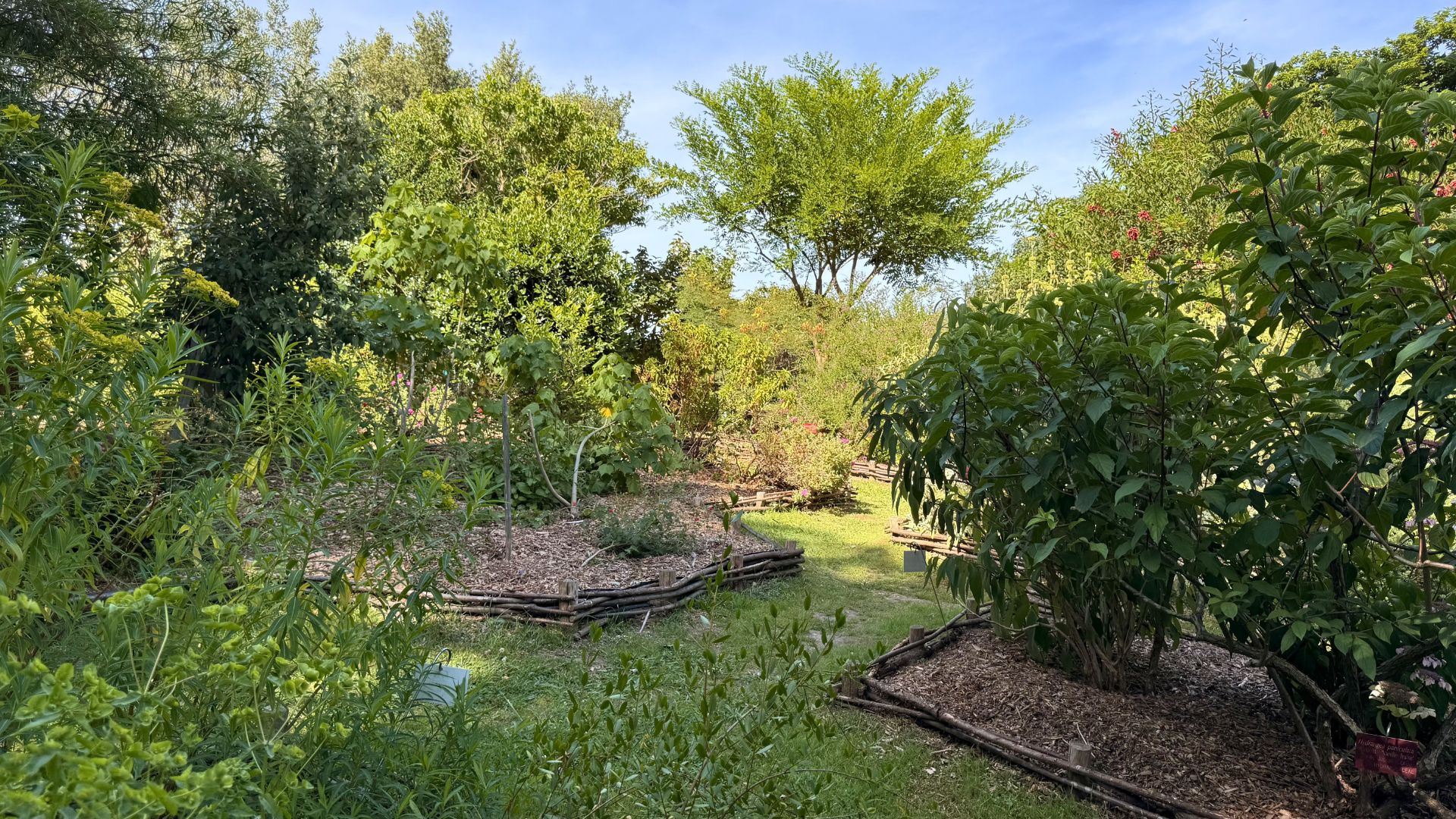 🌿 2 jardins botaniques à découvrir sur la Côte Basque : Bayonne & Saint-Jean-de-Luz